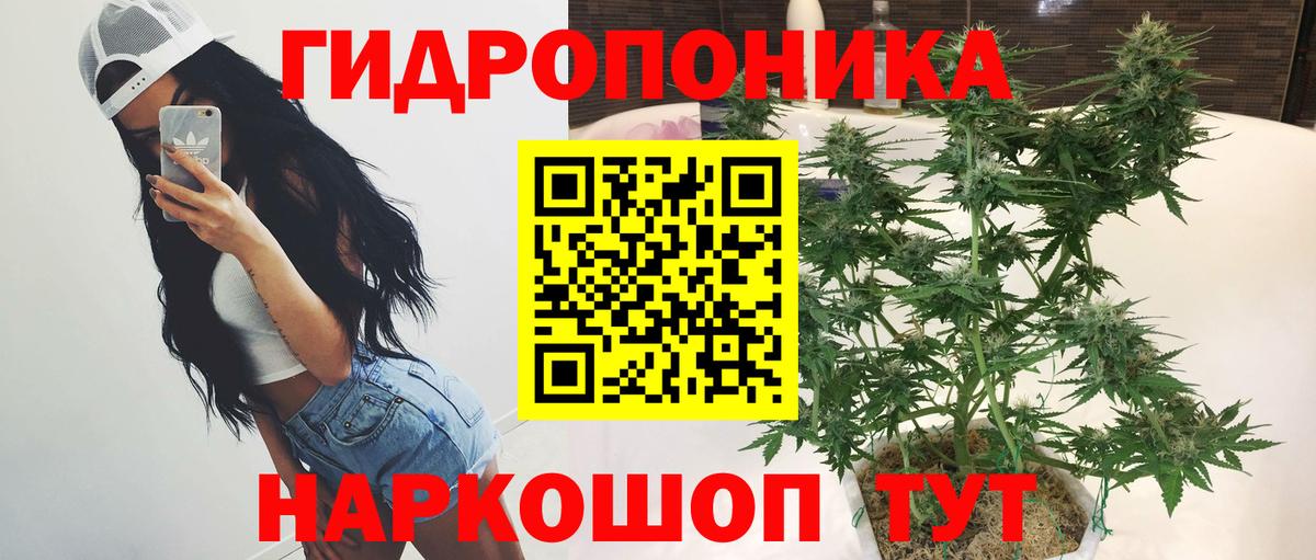 Шишки марихуана Bruce Banner  Бошки Шишки Amnesia  Рубцовск  Вход с VPN  Конопля планчик 